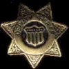 DEPUTY SHERIFF BADGE GOLD GENERIC W CREST PIN DEPUTY SHERIFF BADGE GOLD GENERIC W CREST PIN